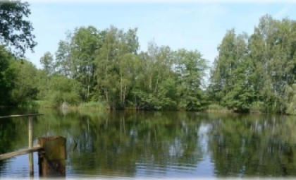 rybník